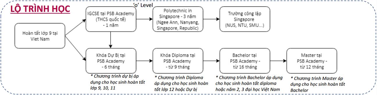 Lộ trình học tại PSB